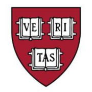 Physics Faculty Assistant